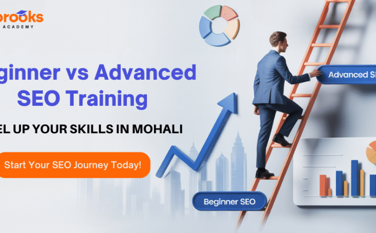  Beginner vs Advanced SEO: Find Your Ideal Course