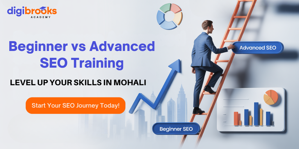 Beginner vs Advanced SEO: Find Your Ideal Course